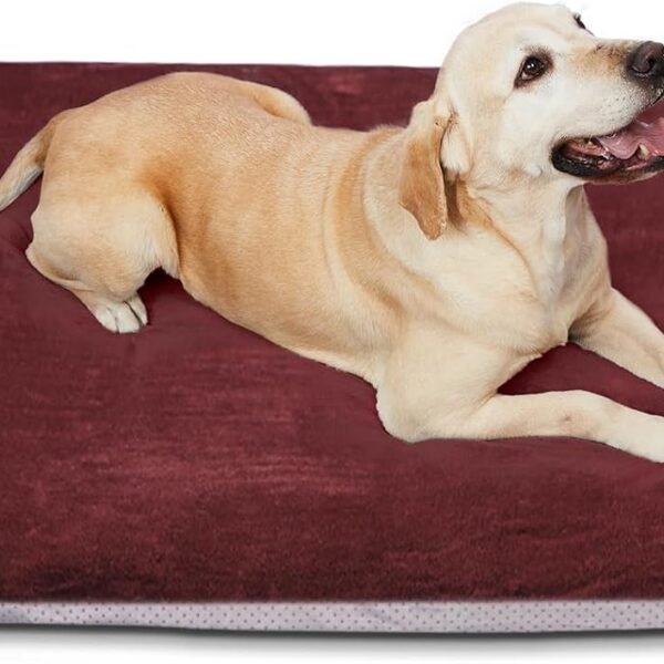 Super Soft Large Dog Bed, 39 Inches Orthopedic Foam Pet Beds with Anti Slip Bottom, Dog Sleeping Mattress with Removable and Washable Cover, Burgundy L,39'' X 33.5'' X 3.7''